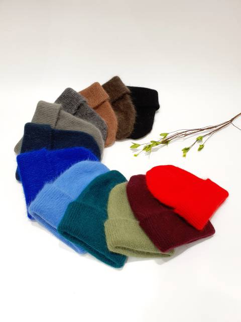 Set of colorful beanies arranged in a circle on a white background with a branch.